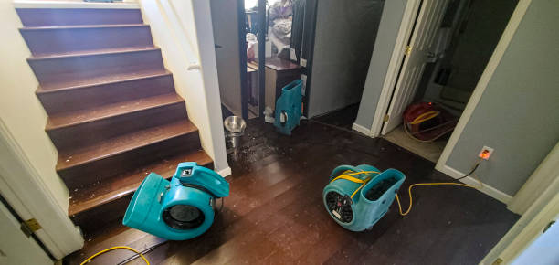 Best Local water damage restoration  in Smyrna, TN