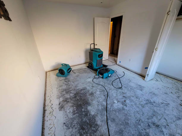 Best Emergency water damage restoration  in Smyrna, TN