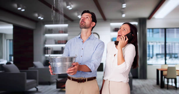 Best Flood damage cleanup  in Smyrna, TN